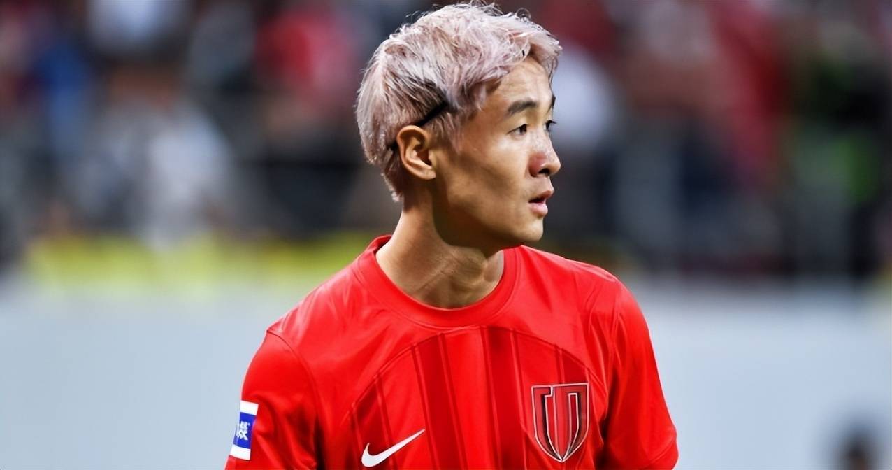 卡纳瓦罗再, 国足协递交